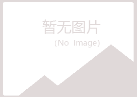 江永县盼山会计有限公司